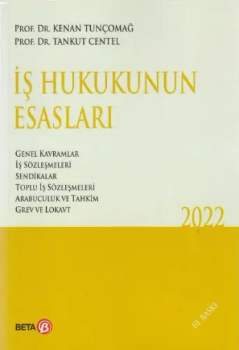 İş Hukukunun Esasları