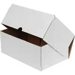 Kilitli Beyaz Kutu 25x16x10 cm.