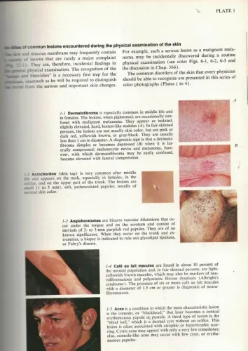 Harrison's Principles Of İnternal Medicine Thorn,Adams,Braunwald,İssel