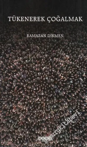 Tükenerek Çoğalmak -        2004
