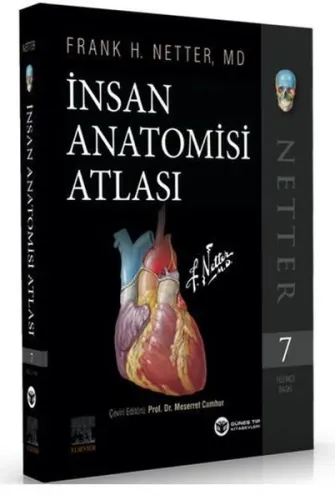 Netter İnsan Anatomisi Atlası 7. Baskı