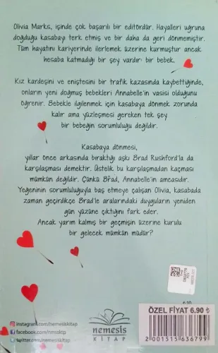 Eski Aşklar Yeni Başlangıçlar Miranda Liasson Nemesis Kitap