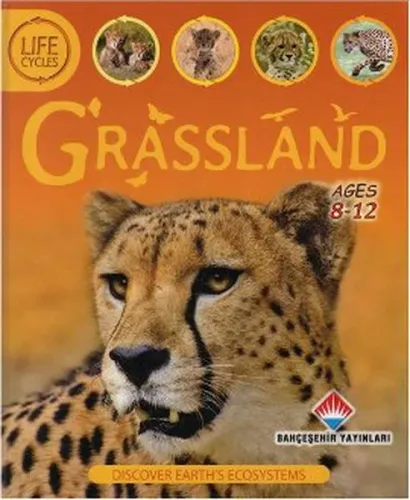 Life Cycles Grassland 8 12 Ages