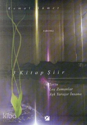 3 Kitap Şiir