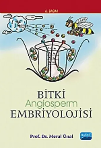 Bitki Embriyolojisi Angiosperm