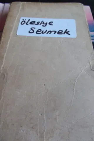 Ölesiye Sevmek