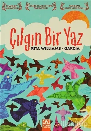 Çılgın Bir Yaz