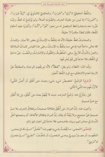MOLLA CAMİ El Fevaidüd Diyaiyye الفوائد الضيائية Mevlana Abdurrahman C