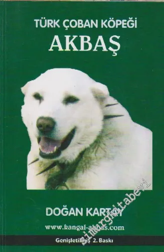 Türk Çoban Köpeği Akbaş -