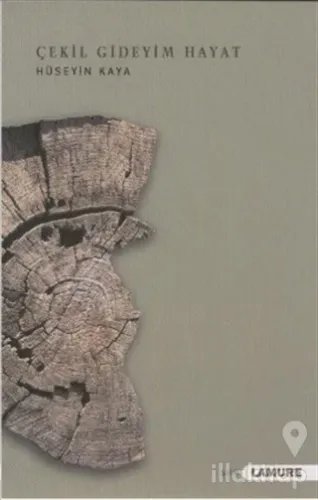 Çekil Gideyim Hayat