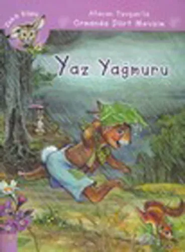 Afacan Tavşanla Ormanda Dört Mevsim - Yaz Yağmuru