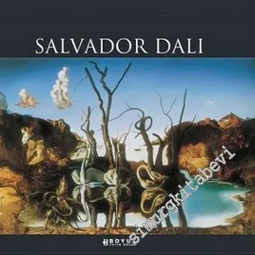 Salvador Dali CİLTLİ -