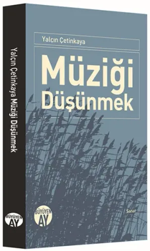 Müziği Düşünmek