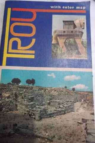 Troy With Color Map
