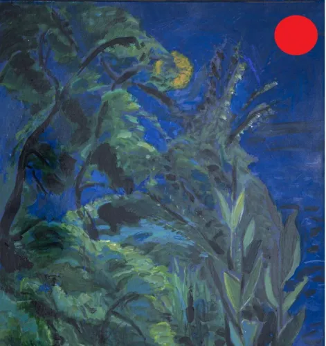 Bahçemde Gece