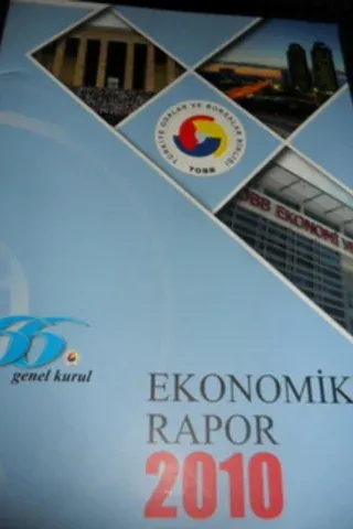 Ekonomik Rapor 2010