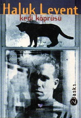 Kedi Köprüsü