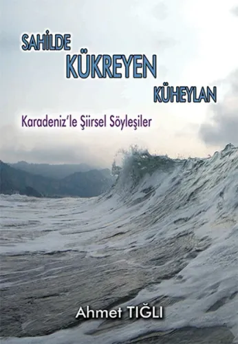 Sahilde Kükreyen Küheylan;Karadeniz'le Şiirsel Söyleşiler