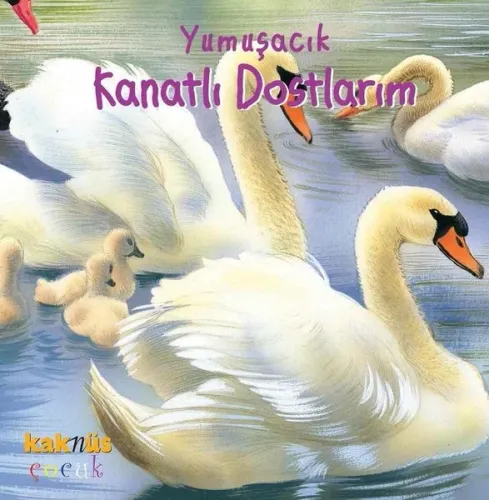 Yumuşacık Kanatlı Dostlarım  (0-5 Yaş)