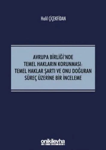 Avrupa Birliği'nde Temel Hakların Korunması:Temel Haklar Şartı ve Onu Doğuran Süreç Üzerine Bir İnceleme