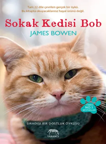 Sokak Kedisi Bob; Sıradışı Bir Dostluk Öyküsü