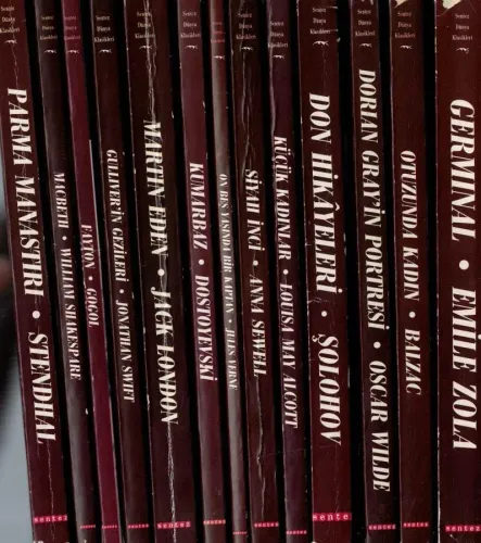 Sentez Dünya Klasikleri 13 Kitap