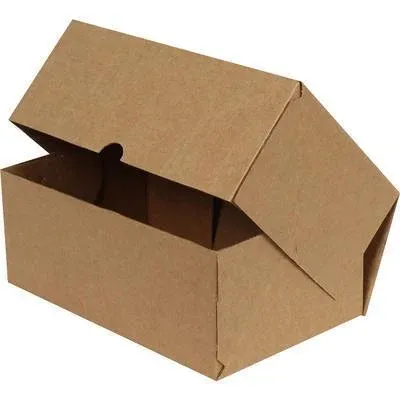 Kilitli Karton Kutu 25x20x10 cm.