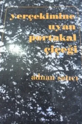 Yer Çekimine Uyan Portakal Çiçeği