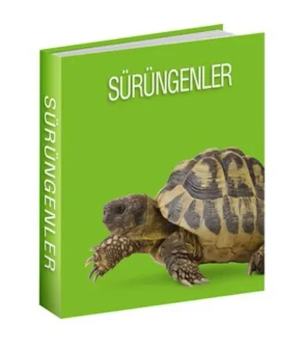 Sürüngenler Koleksiyon Komisyon