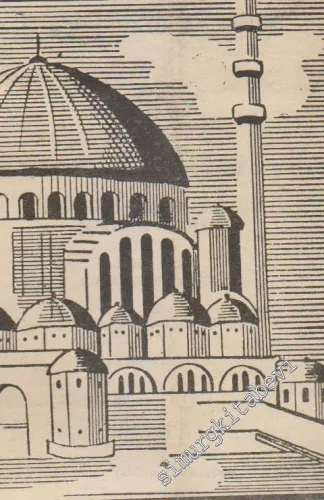 Müslüman Sesi - Sayı: 264, 20 Ocak 1965