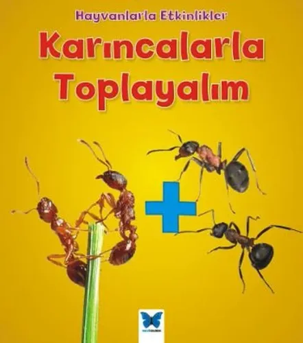 Karıncalarla Toplayalım; Hayvanlarla Etkinlikler