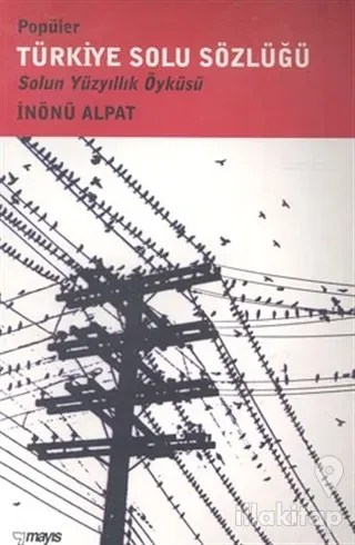 Popüler Türkiye Solu Sözlüğü Solun Yüzyıllık Öyküsü