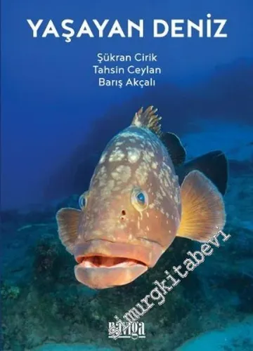 Yaşayan Deniz -        2016
