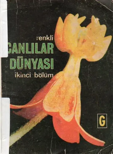 Renkli Canlılar Dünyası İkinci Bölüm