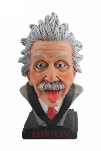 Einstein Biblo- ( Küçük Boy )