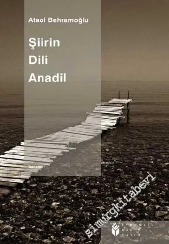 Şiirin Dili: Anadil -