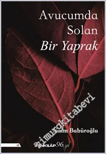 Avucumda Solan Bir Yaprak -         2023