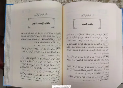 Et Tecridüs Sarih التجريد الصريح