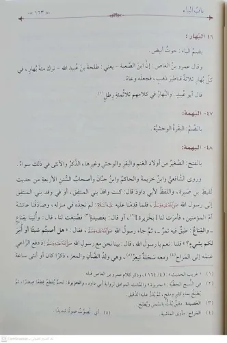 Behcetül İnsan fi Mihcetil Hayevan Muhtasar Hayatil Hayevan lid Demiri