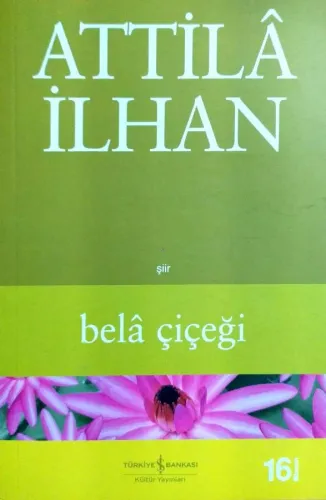 Bela Çiçeği