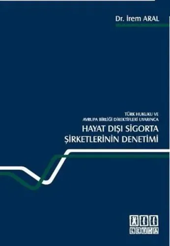 Hayat Dışı Sigorta Şirketlerinin Denetimi