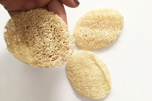 Üçlü Peeling Kabak Lifi