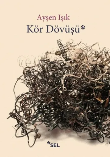 Kör Dövüşü