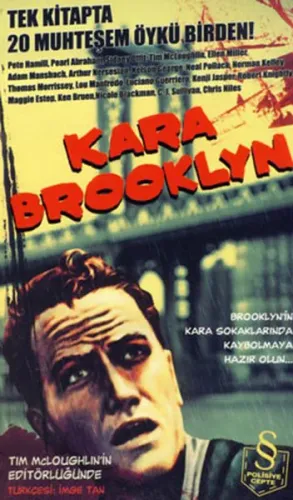 Kara Brooklyn; Tek Kitapta 20 Muhteşem Öykü Birden