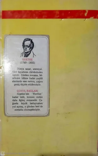 Gönül Bağları Goethe Altın Kalem %45 indirimli