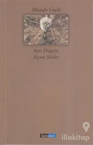 Ayrı Düşeriz