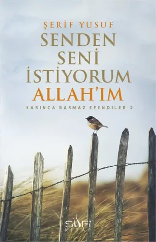 Seni Senden İstiyorum Allah'ım