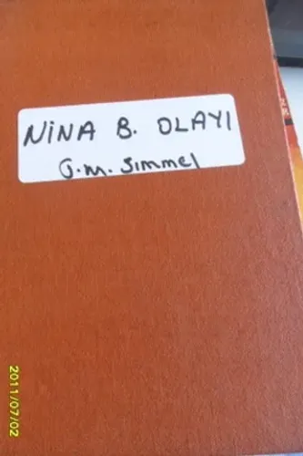 Nina B. Olayı