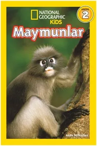 Maymunlar