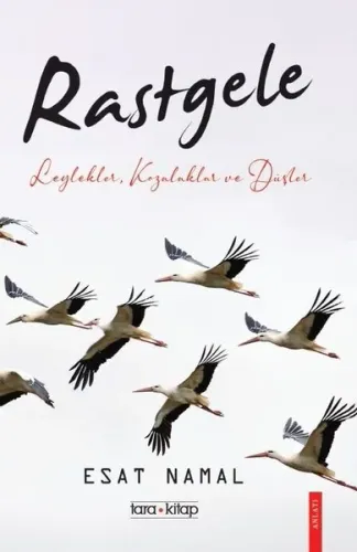 Rastgele;Leylekler, Kozalaklar ve Düşler